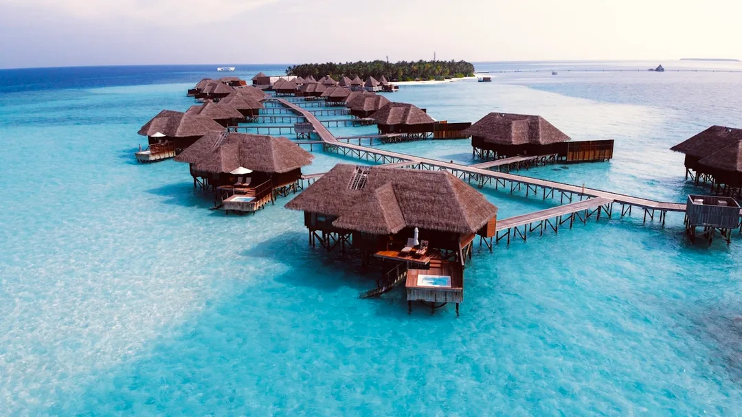 Romantic honeymoon packages by Safari Sutra Honeymoon packages by Safari Sutra