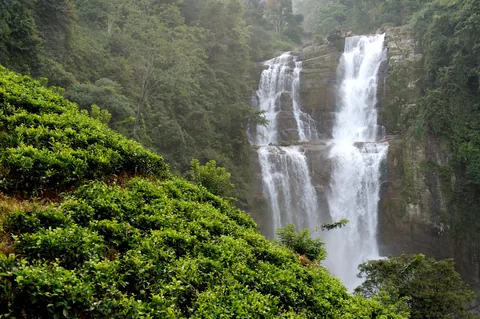 Kerala Monsoon Wellness: Ayurveda, Waterfalls & Green Season | Safari Sutra Holidays Wayanad waterfall in full monsoon flow against green forest — Kerala monsoon tour package India