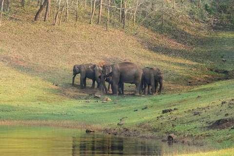 Kerala Family Escape: Backwaters, Wildlife & Beach - Gallery Image 1 Kerala Family Escape: Backwaters, Wildlife & Beach gallery 01